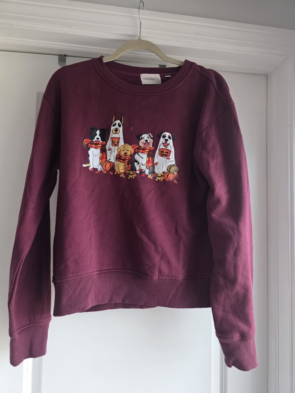 Mia And Tess Maroon Crewneck Sweater with Autumn Dog Graphic